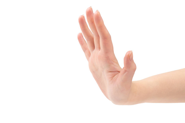 Рука жінки ізольована на білому тлі
 - Фото, зображення