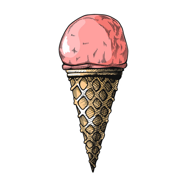 Realistic sketch in a waffle cone. Vector illustration - Vecteur, image