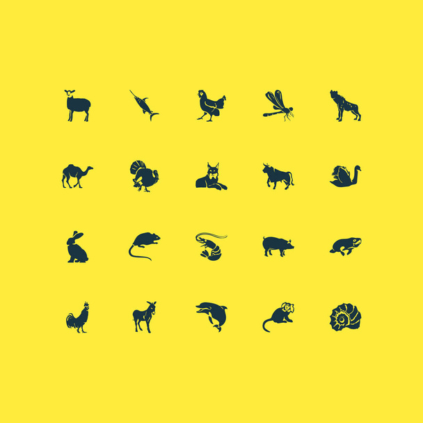 Icônes du zoo avec moutons, coquillages, chameaux et autres éléments sauvages. Illustration vectorielle isolée icônes de zoo
. - Vecteur, image