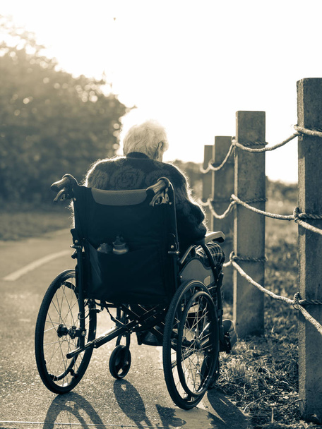 Zdjęcie samotnej staruszki siedzącej na wózku inwalidzkim patrzącej na światło słoneczne. - Zdjęcie, obraz