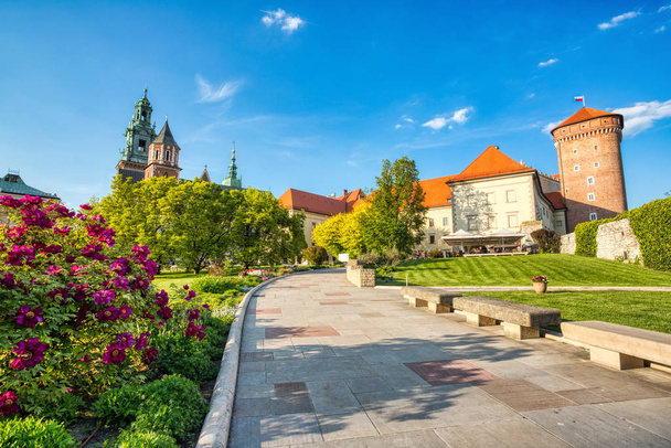 Вавельский замок в течение дня, Краков
 - Фото, изображение