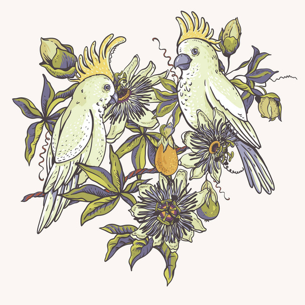 Vintage white parrot, floral natural collection. Passiflora gree - Vector, Image