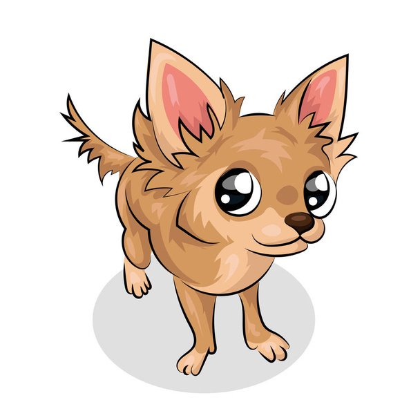 chihuahua dog isolated at the white background - Vector, Imagen