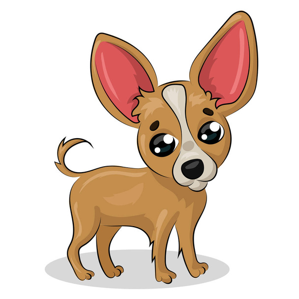 chihuahua dog isolated at the white background - Vector, Image