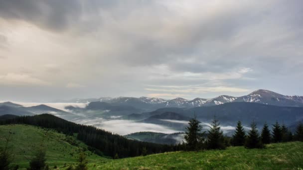 Fantastisch landschap van een groene vallei van de Karpaten bergen bedekt met dennenbomen en af en toe sneeuw waarop wolken lopen. Tijdsverloop - Video