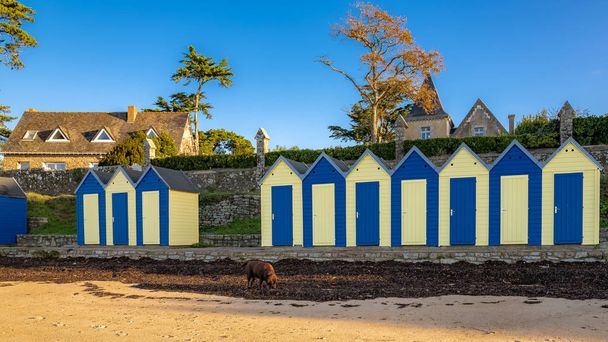 Купальные домики на пляже, Гранд Плаж, Бриттани, Иль-о-Мойн
  - Фото, изображение