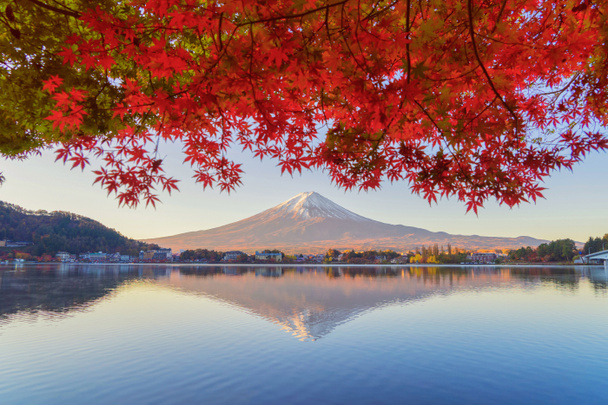 Mountain Fuji with red maple leaves or fall foliage in colorful  - Photo, Image