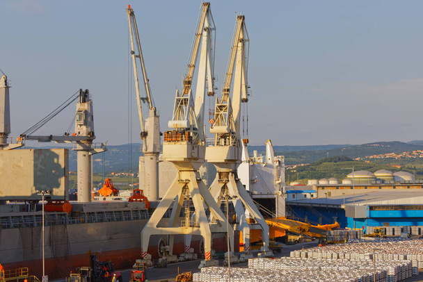 Vinçleri ve kargo konteynırları olan büyük sanayi limanı - Fotoğraf, Görsel