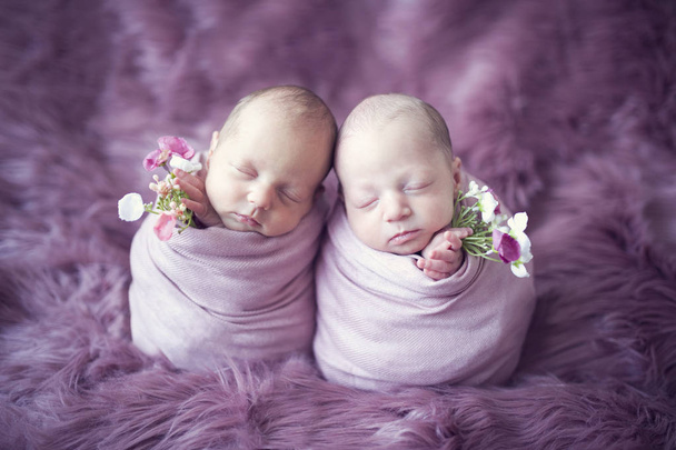 Newborn babies twins sisters together like potato or egg with flowers in hands - 写真・画像