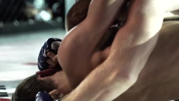 Fight in the MMA octagon. Slow motion. Kyiv. Ukraine - Filmmaterial, Video