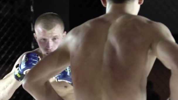 Fight in the MMA octagon. Slow motion. Kyiv. Ukraine - 映像、動画