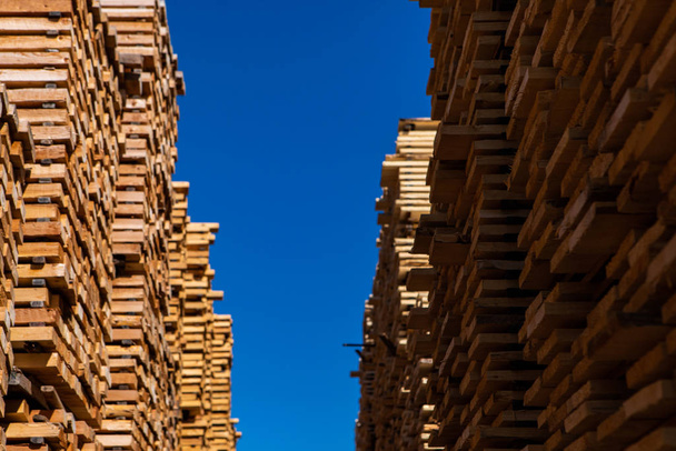 Pannelli di legno impilati in cantiere segheria
 - Foto, immagini