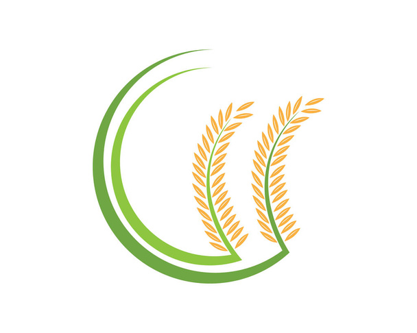 Сільське господарство Пшениця Векторний дизайн значка
  - Вектор, зображення