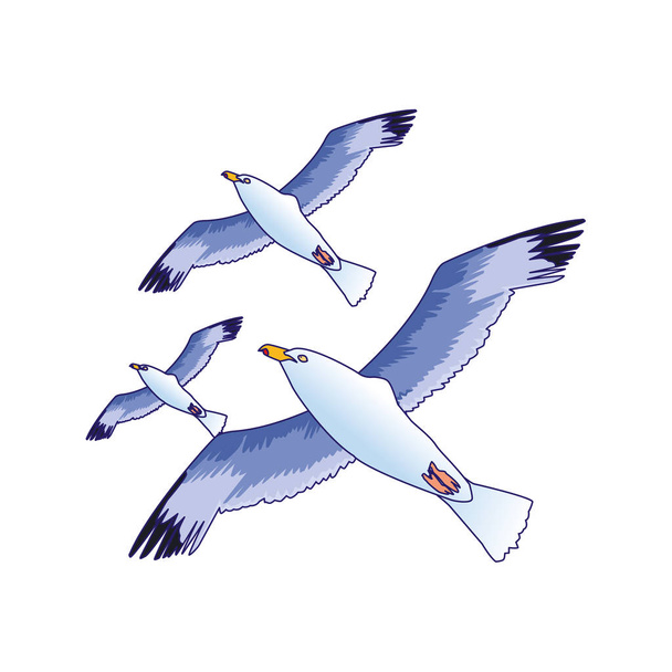 gulls flying icon over white background - Vector, Image