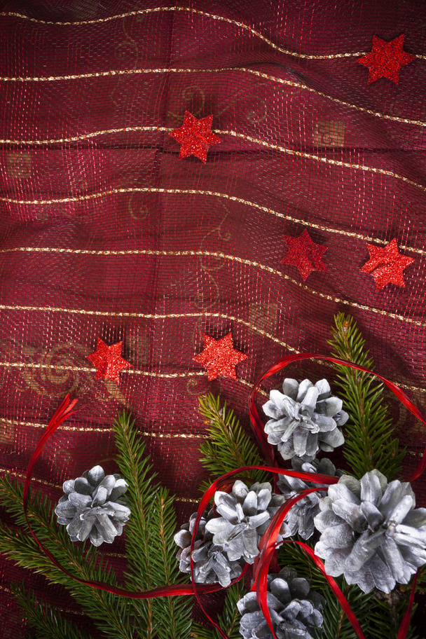 Biglietto natalizio con pino e ramoscello di abete rosso
 - Foto, immagini