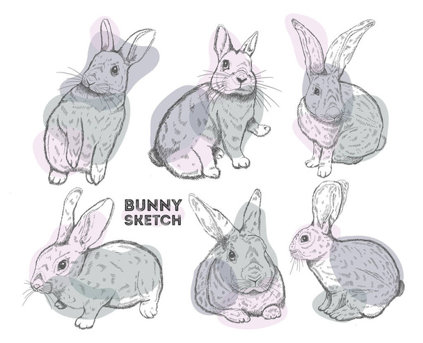 Conejo conjunto de tinta dibujado a mano.Estilo de boceto de conejo, aislado en blanco b
 - Vector, imagen