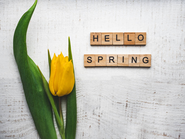 Beautiful greeting card with the word SPRING - Foto, Imagen