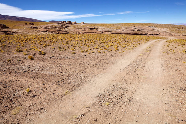 Paesaggio nella Puna de Atacama, Argentina
 - Foto, immagini
