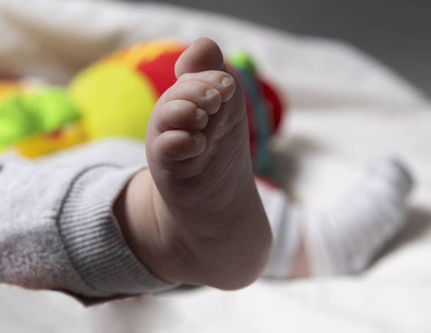 Нога маленького ребенка - Фото, изображение