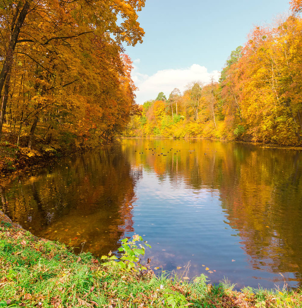 Teich mit Ufern im Herbstpark mit Bäumen bewachsen - Foto, Bild