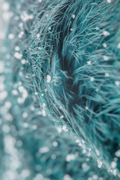 Abstract blurred blue green background. Fur nap and snow. Minimalism. Villus fur. Blue-green fur macro villi texture details backdrop on blur background - Photo, image