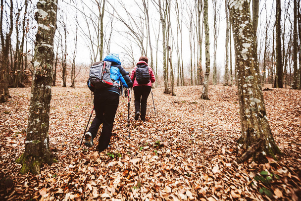  active people trekking in the forest - Zdjęcie, obraz