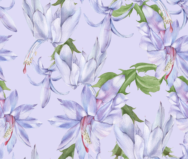 Background with blooming cactus schlumbergera. Seamless pattern. - Photo, Image