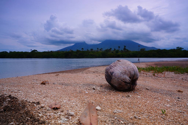 La fruta de coco es barrida y varada en la playa
 - Foto, Imagen