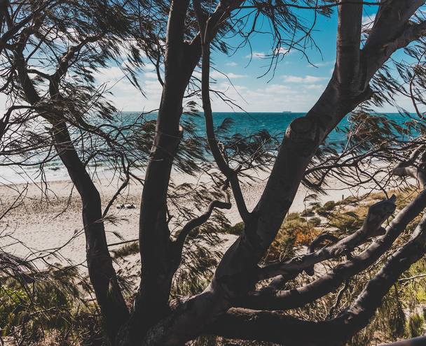 detail of Cottesloe Beach, one of the most iconic beaches near P - Фото, изображение