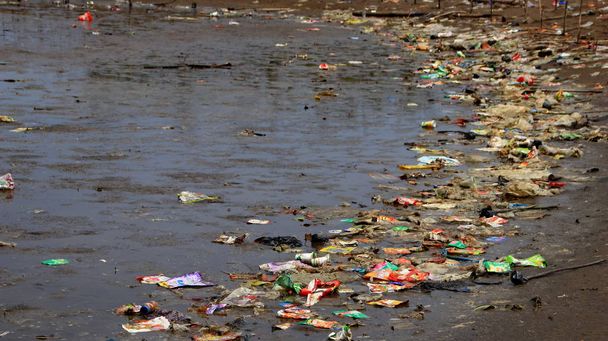  Мангрові ліси, заражені пластиковими відходами
 - Фото, зображення