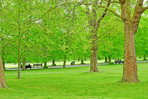 Londres, Greenwich; Inglaterra - 5 de mayo de 2019: Greenwich Royal Park
 - Foto, imagen