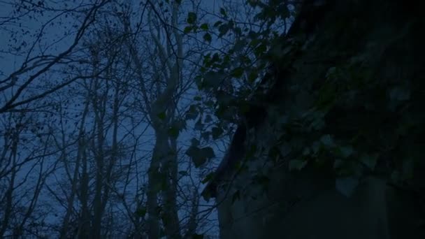 Gruseliges altes Haus im Wald in der Abenddämmerung - Filmmaterial, Video