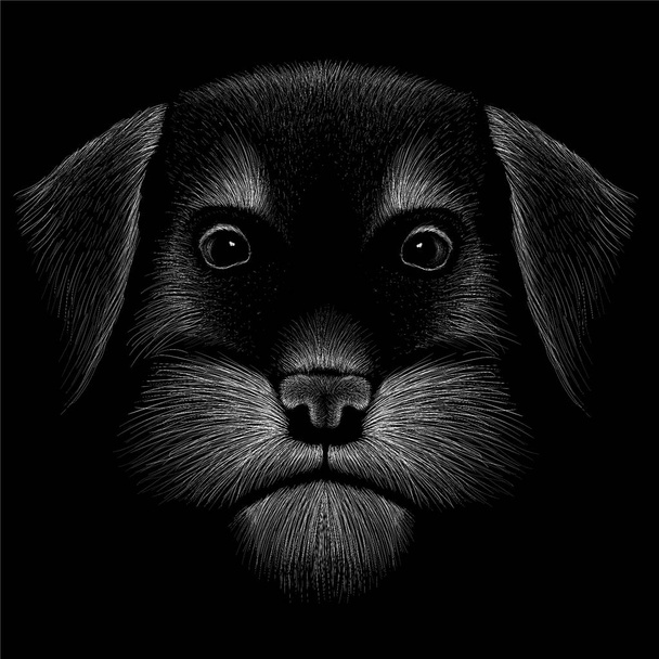 λογότυπο σκυλί για τατουάζ ή T-shirt σχεδιασμό ή outwear, απλά εικονογράφηση  - Φωτογραφία, εικόνα