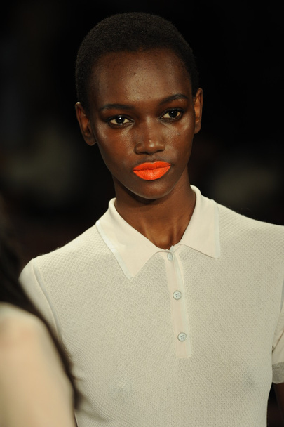Model at Rag and Bone Women's Collection show - Foto, imagen