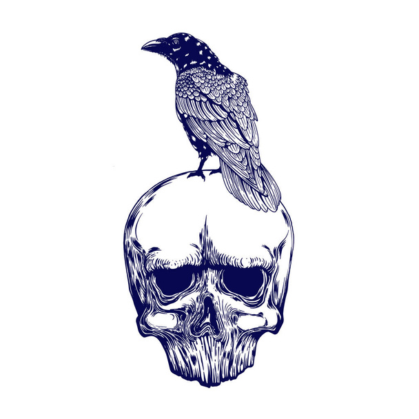 Crow on skull isolated on white. Hand drawn vector art. Sketch vector illustration. Vector vintage illustration. tattoo design. - Vector, Image