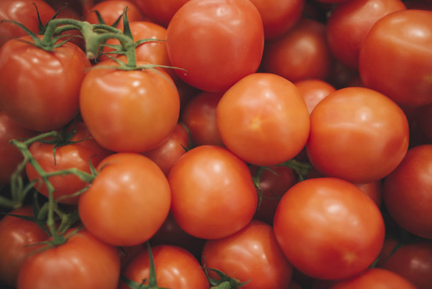 tomatos - Фото, изображение