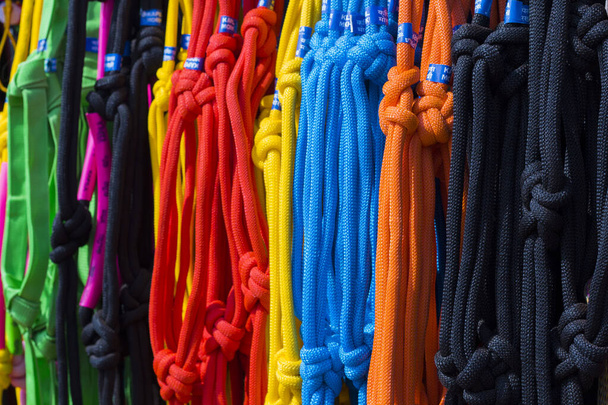 Nueva cuerda de nylon de color brillante para la venta en el mercado de ganado tamilnadu, India
. - Foto, imagen