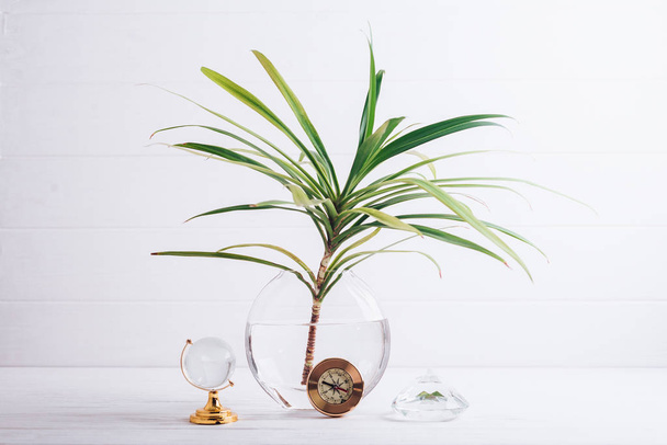 Glass globe on a white background with a palm branch in a vase - Foto, Bild