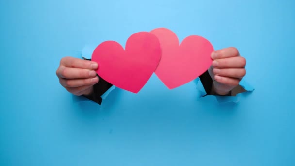 Vrouwelijke handen met rode harten door een gescheurde blauwe papieren muur. Valentijnsdag en Net als bloggen blog social network tederheid concept. - Video