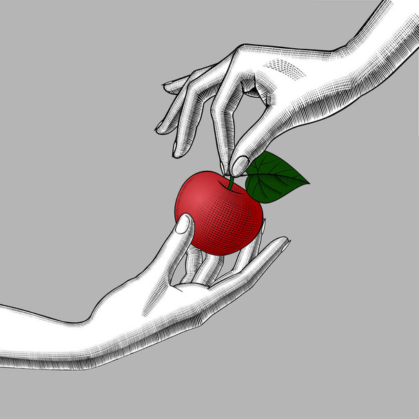 Woman's hands with an apple - Διάνυσμα, εικόνα
