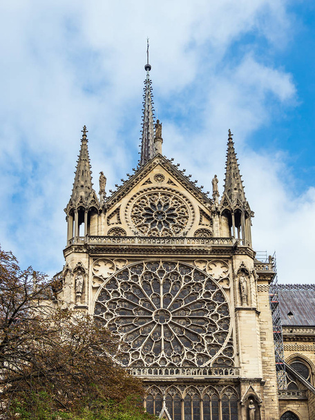 View to the cathedral Notre-Dame in Paris, France - Fotoğraf, Görsel