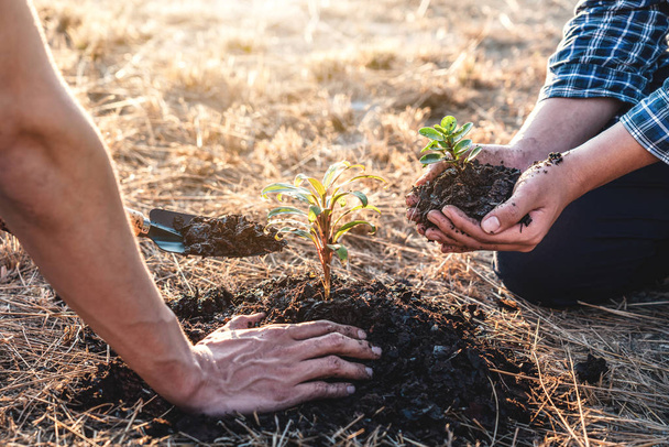 Milieu aarde dag, Handen van twee man te helpen waren het planten van th - Foto, afbeelding