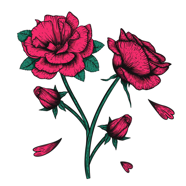 Gravure vectorielle dessinée à la main style tatoo rose illustration. Idéal pour tissu, impression et invitation
. - Vecteur, image