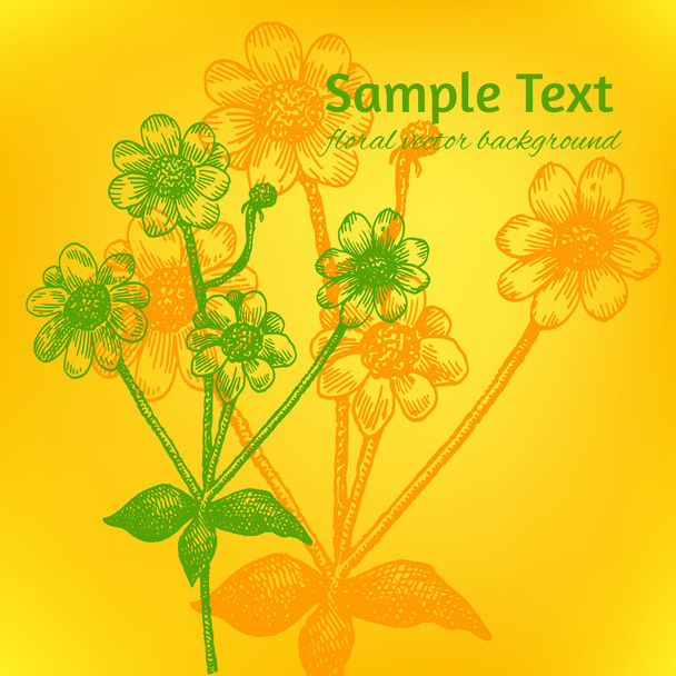 Vector illustration with a place for Your text. Hand drawn chamo - Vector, Imagen