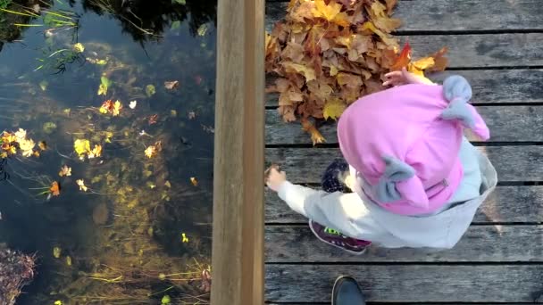 child throw colorful autumn tree leaves into river water from wooden bridge - Footage, Video