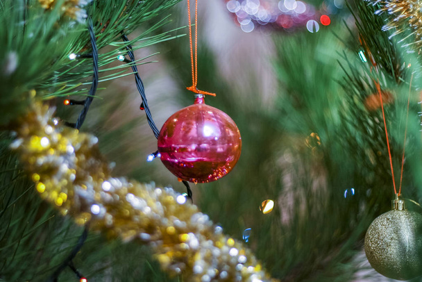 Juguete de cristal colgado en un árbol de Navidad
 - Foto, imagen