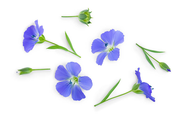 Květiny semeno lnu nebo Linum usitatissimum izolované na bílém pozadí. Pohled shora, plochá - Fotografie, Obrázek