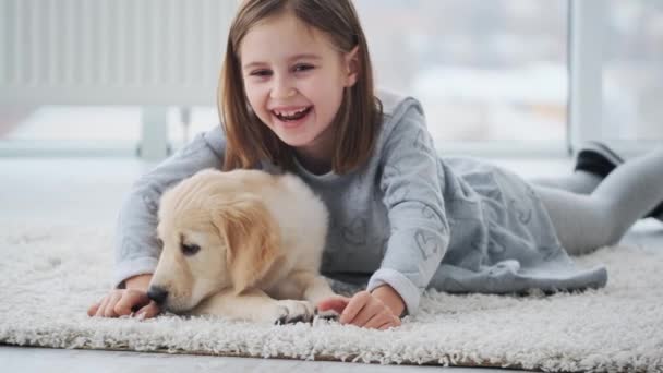 Puppy caressed by little girl - Filmati, video