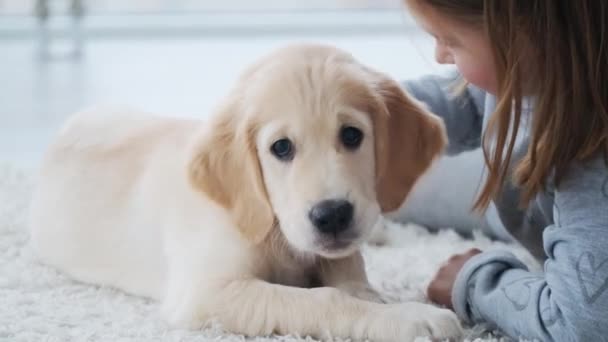 Puppy caressed by little girl - Filmati, video