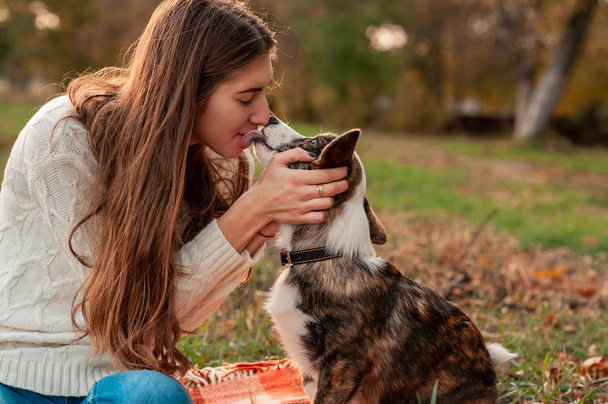 junge Hündin sitzt mit walisischem Corgi-Hund im Herbstlaub - Foto, Bild